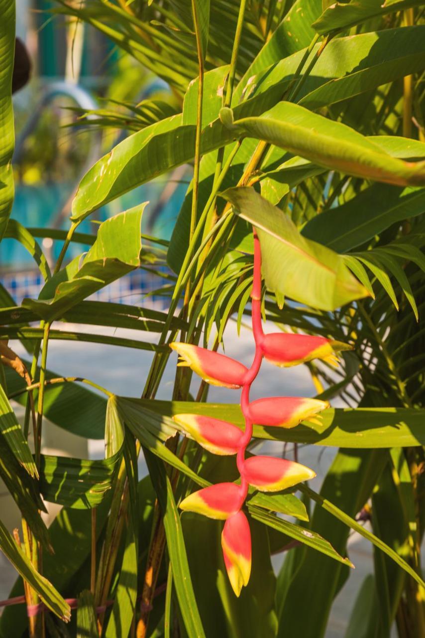 Philip Bungalow Phu Quoc Dış mekan fotoğraf